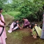 वृक्षारोपण कार्यक्रम (1)